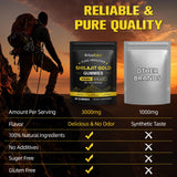 NIFEISHI Himalayan Shilajit Gummies with fresh fruits