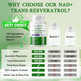 NIFEISHI NAD+ Supplement 910mg back view of packaging