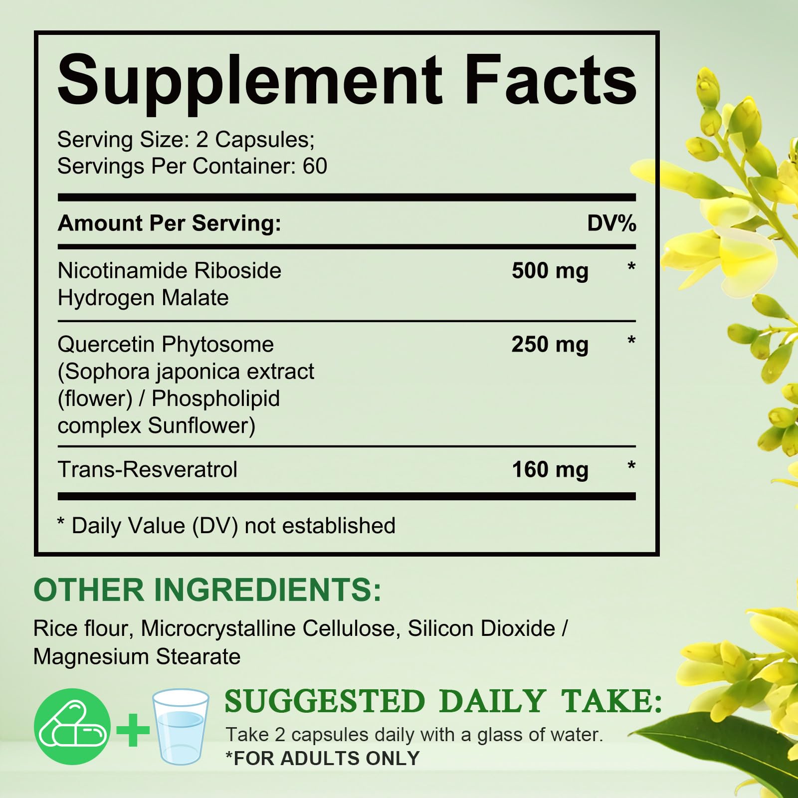 NIFEISHI NAD+ Supplement 910mg capsules close-up