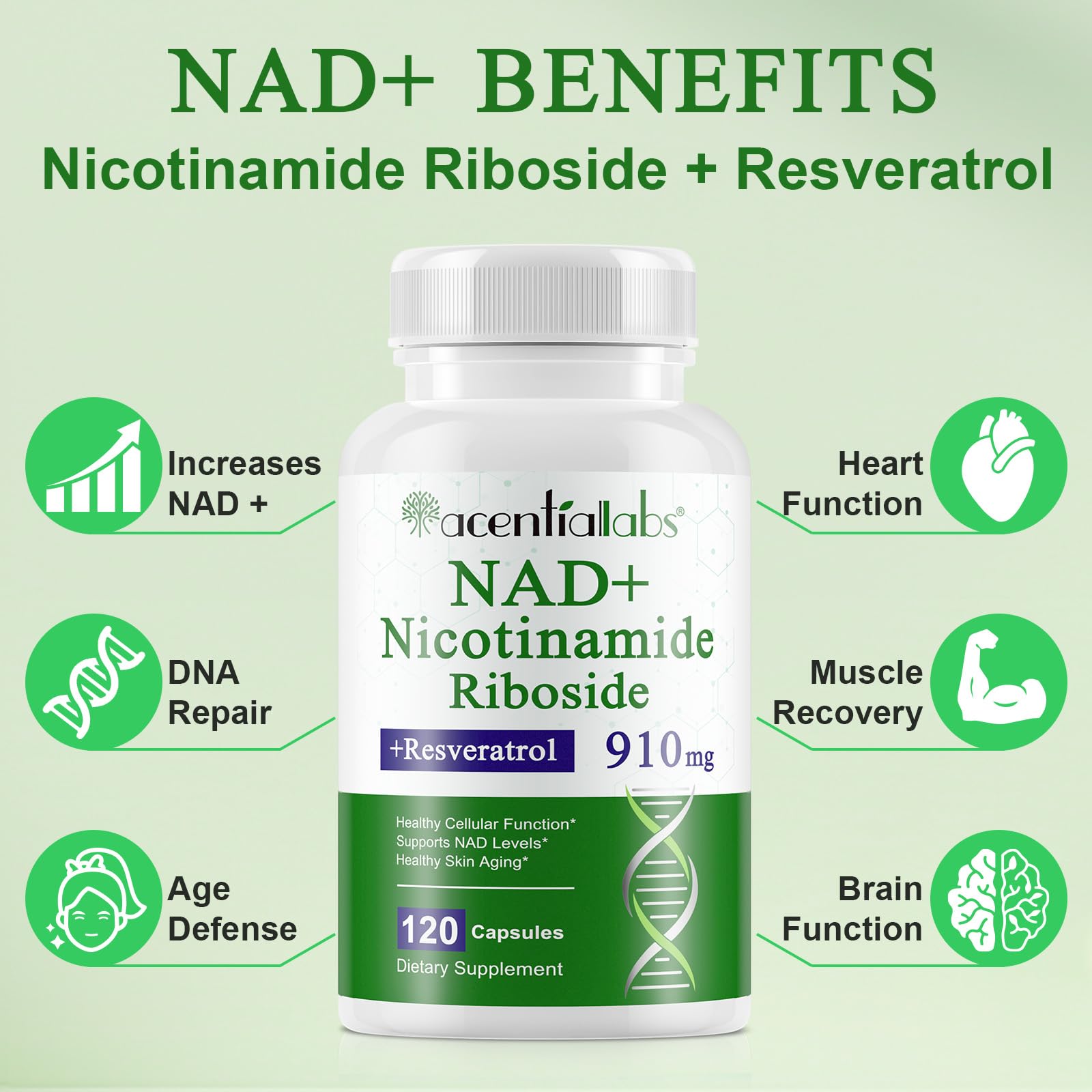 NIFEISHI NAD+ Supplement 910mg ingredients list