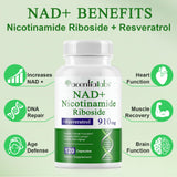 NIFEISHI NAD+ Supplement 910mg ingredients list