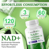 NIFEISHI NAD+ Supplement 910mg lifestyle scene