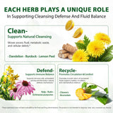 Ninsiec Echinacea Herbal Supplement bottle back view