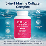 Nitidissima Collagen Supplement bottle with label