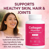 Nitidissima Collagen Supplement on a kitchen counter