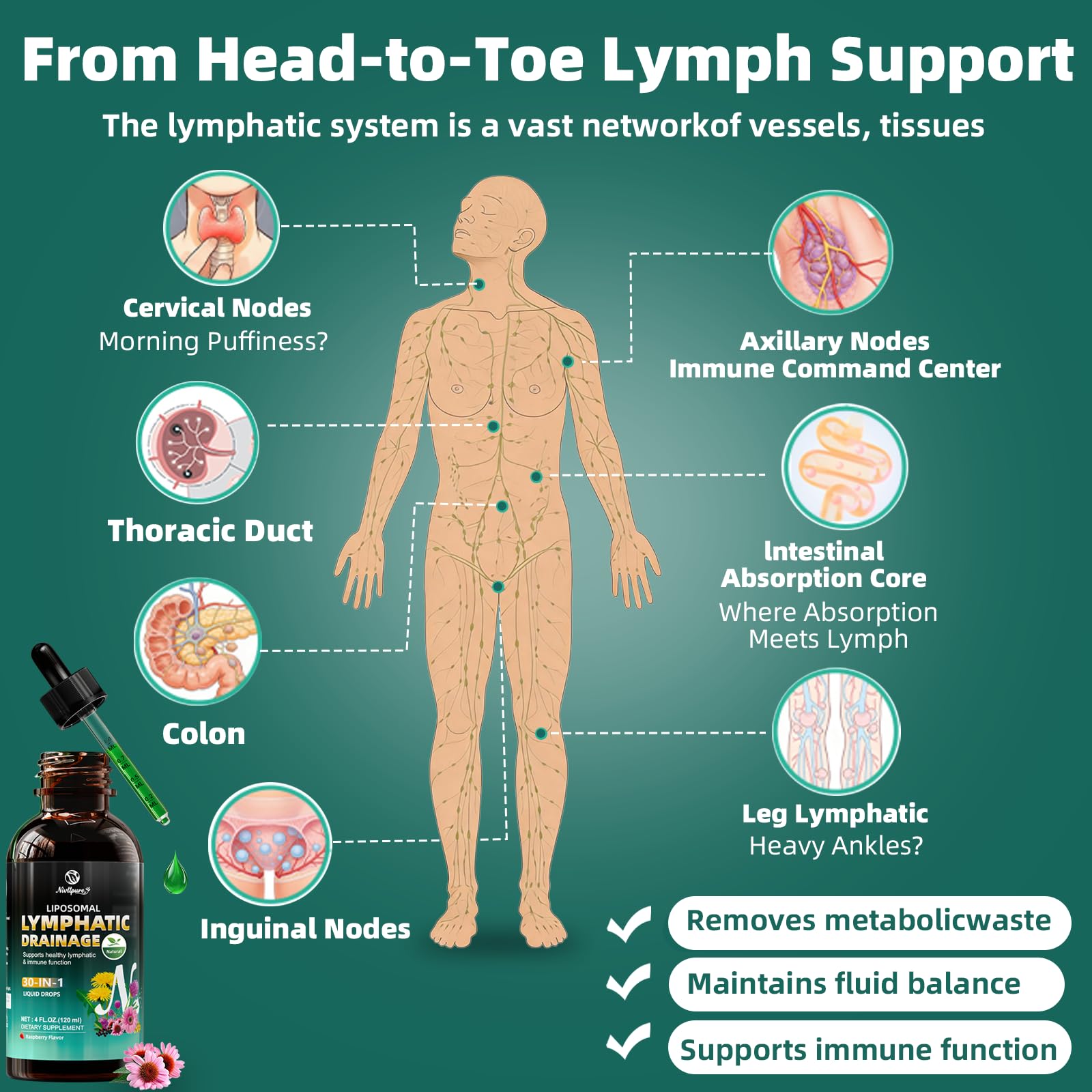 Nivltpure Herbal Lymphatic Support Drops serving size