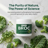 NIVORA Broccoli Sprout Supplement bottle with label