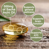NKG Sacha Inchi Oil capsules with fresh Sacha Inchi seeds