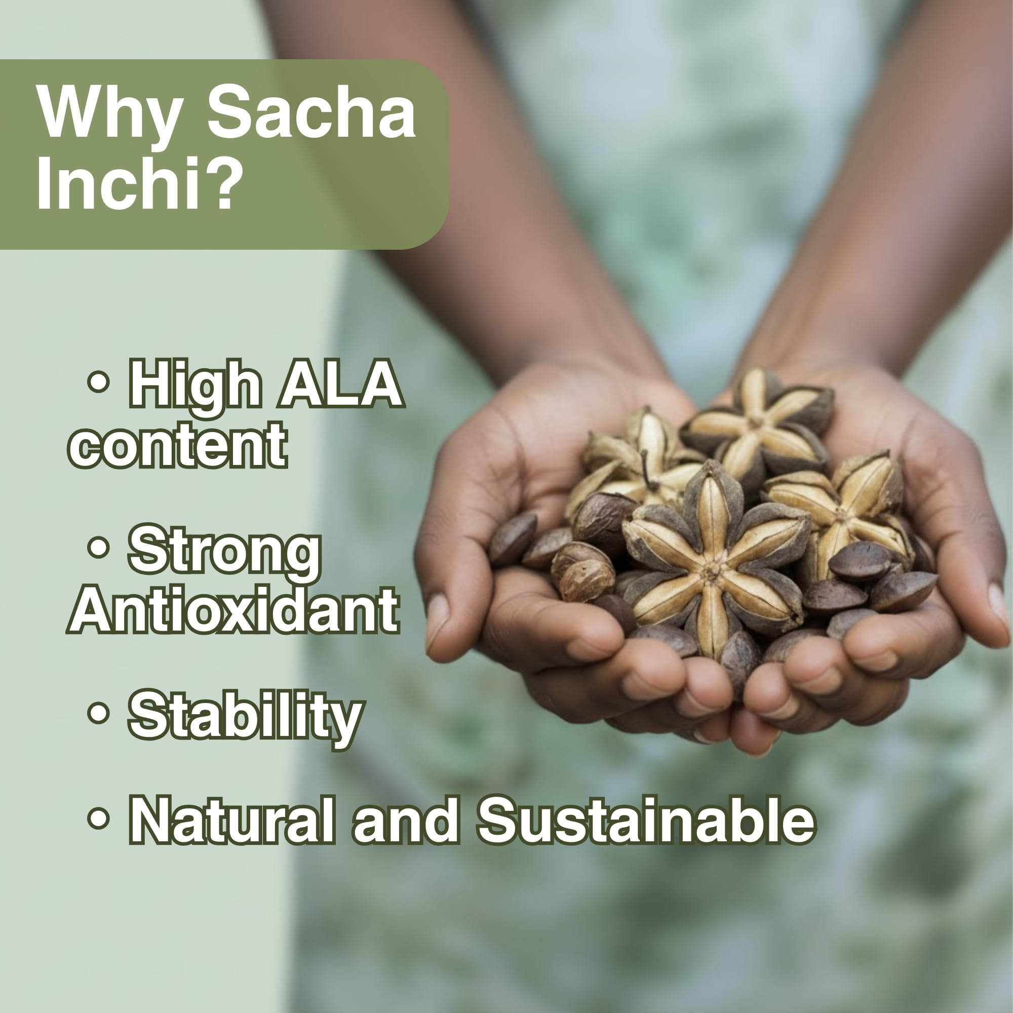 NKG Sacha Inchi Oil supplement packaging details