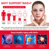 NKKOBSLE NAD+ Supplement liquid bottle with measuring cap