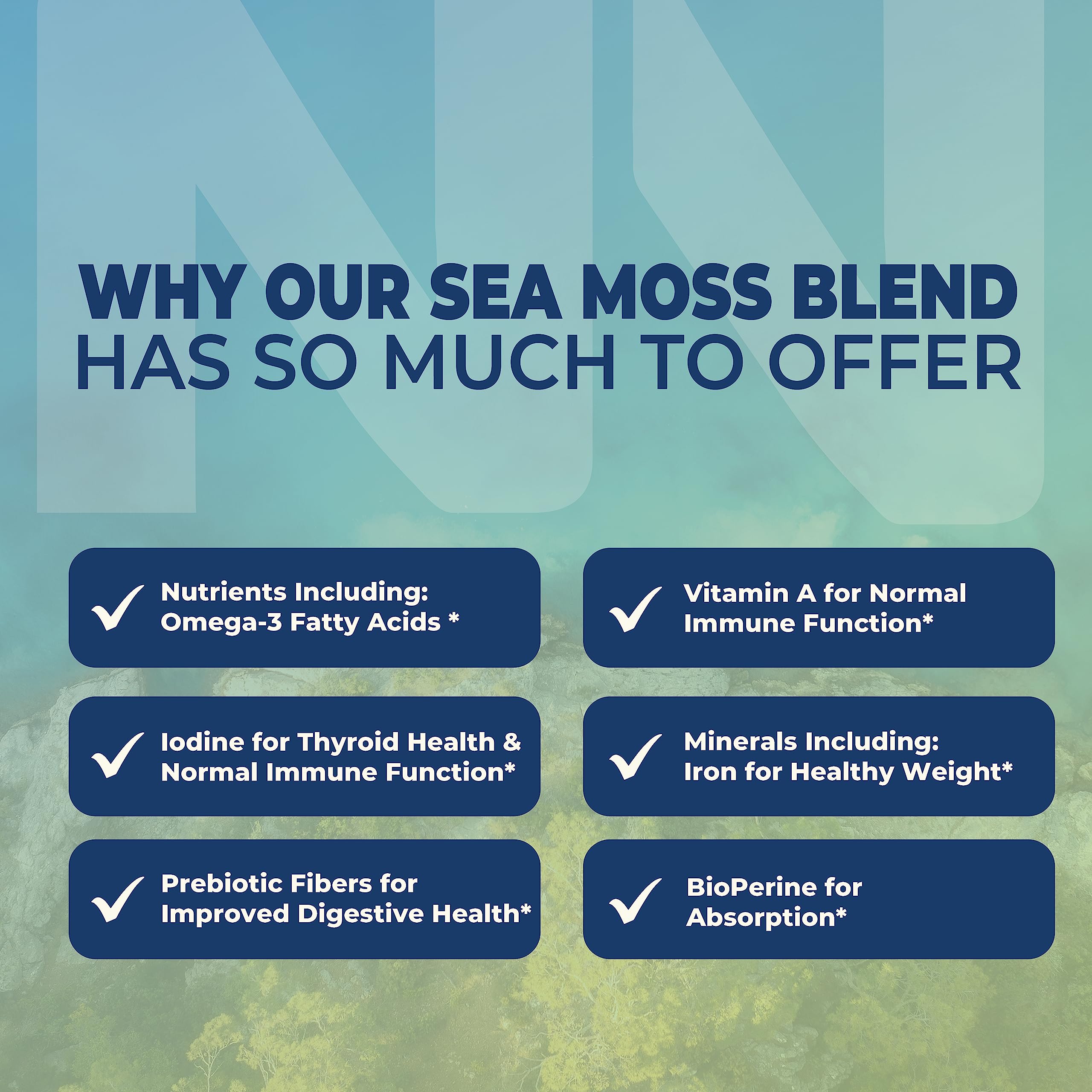 Nobi Nutrition Sea Moss Complex Capsules close-up of capsules