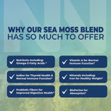 Nobi Nutrition Sea Moss Complex Capsules close-up of capsules
