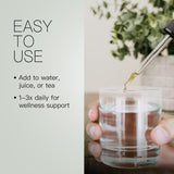 Noelle's Naturals Eastern White Pine Needle Tincture with pine needles