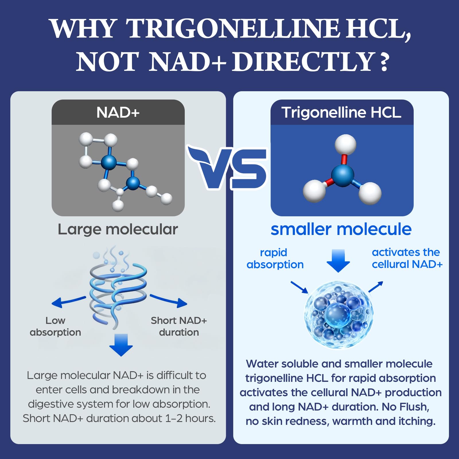 Nokuba Trigonelline HCL 500mg NAD+ Supplement bottle back view