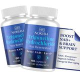 Nokuba Trigonelline HCL 500mg NAD+ Supplement bottle front view