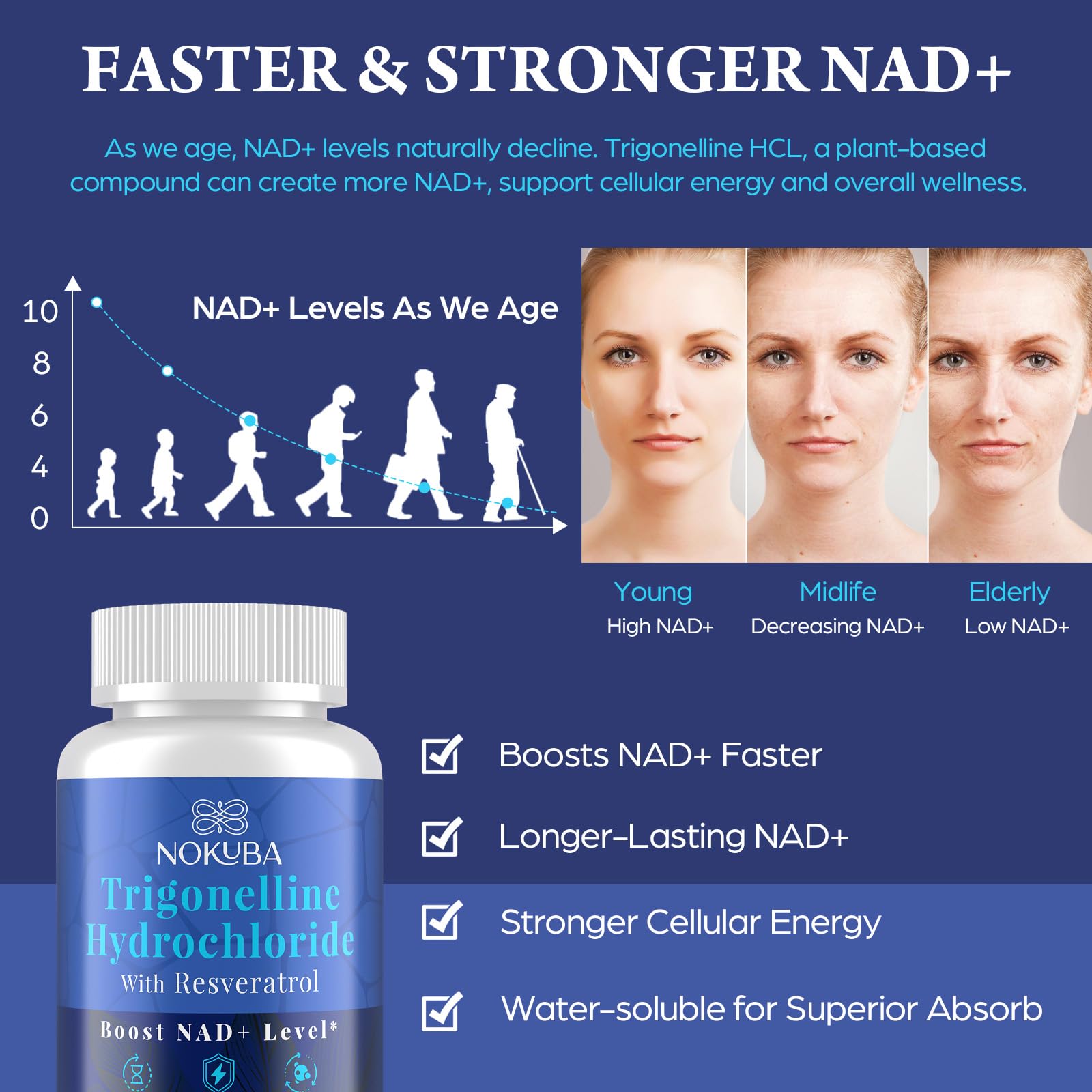 Nokuba Trigonelline HCL 500mg NAD+ Supplement capsules