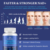 Nokuba Trigonelline HCL 500mg NAD+ Supplement capsules