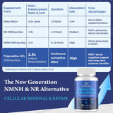 Nokuba Trigonelline HCL 500mg NAD+ Supplement ingredients list