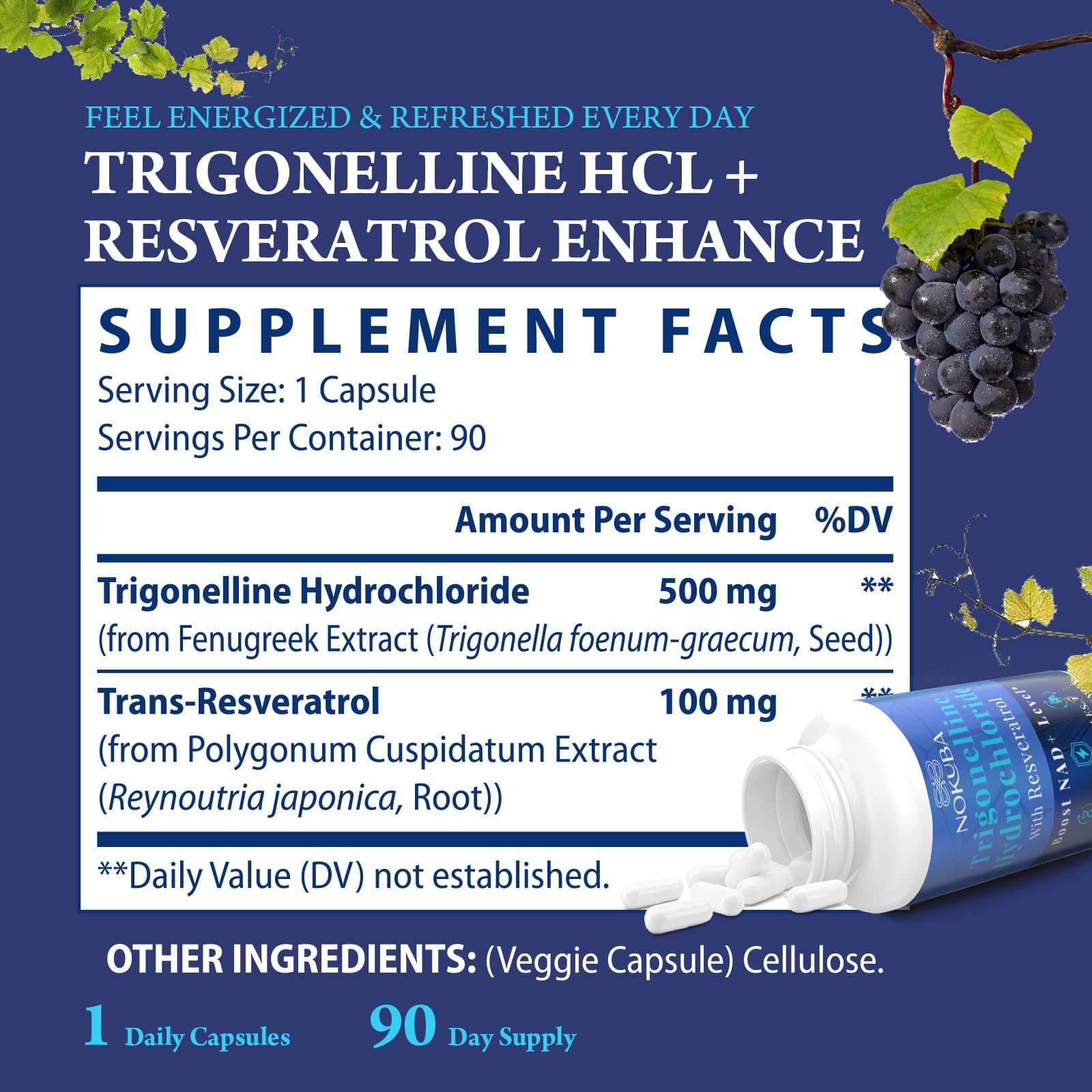 Nokuba Trigonelline HCl Supplement 500mg bottle with a glass of water