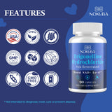 Nokuba Trigonelline HCl Supplement 500mg capsules in a hand