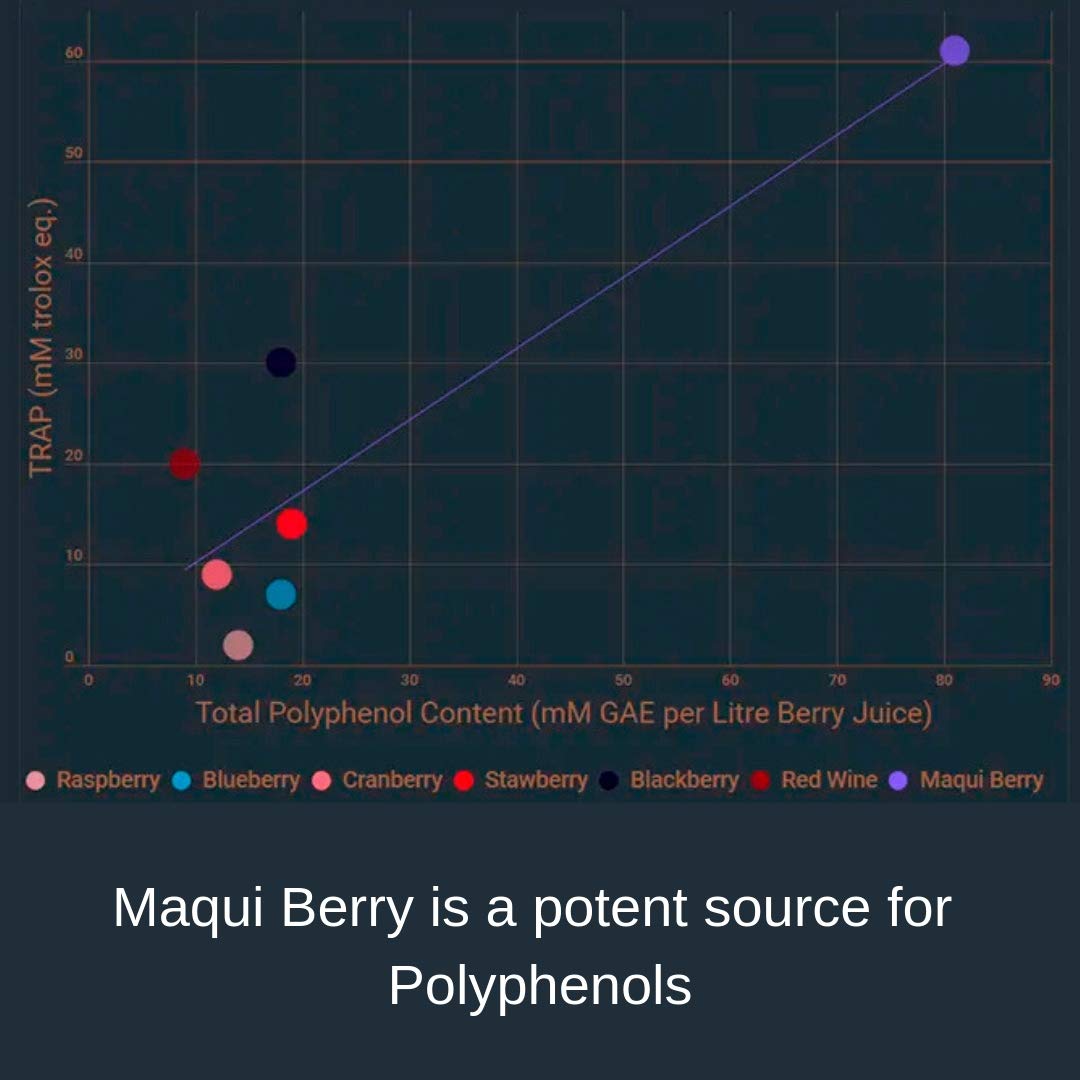 Noomadic Maqui Berry Capsules displayed with fresh maqui berries