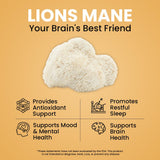 NooMost Lion's Mane Mushroom Supplement bottle with cap open