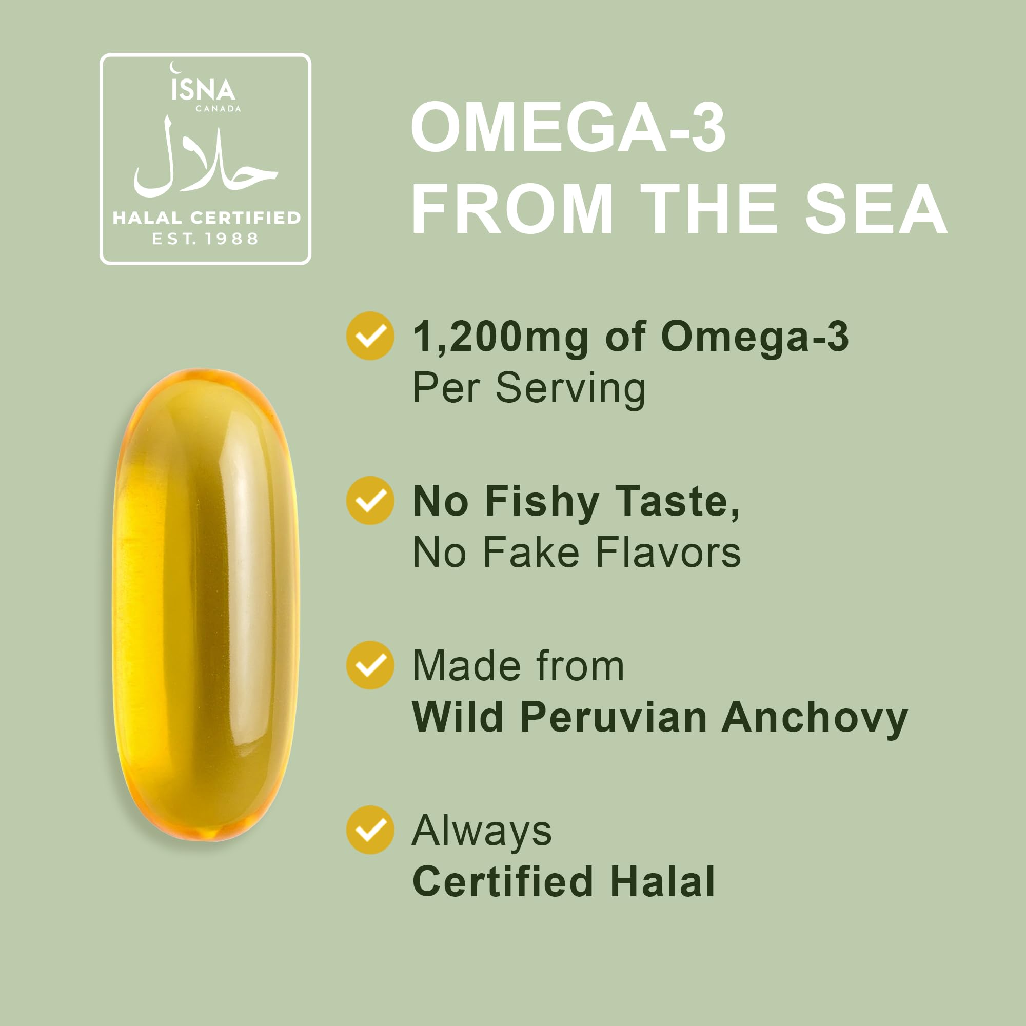 Noor Vitamins Ultra Omega Fish Oil bottle back view with ingredients
