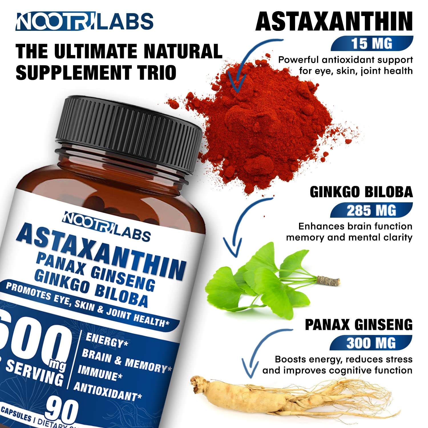 Nootrilabs Naturals Ginkgo Biloba Supplement capsules close-up