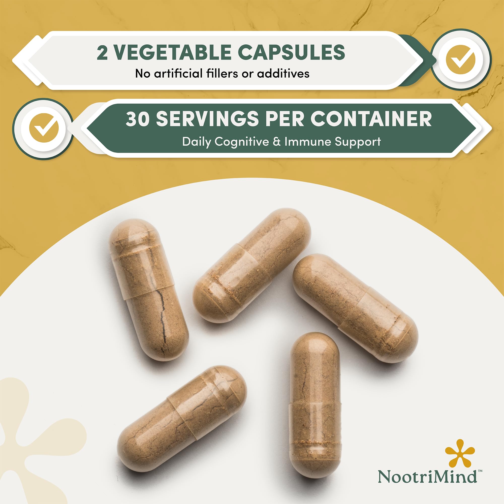 nootrimind 10-functional mushroom blend capsules in a hand