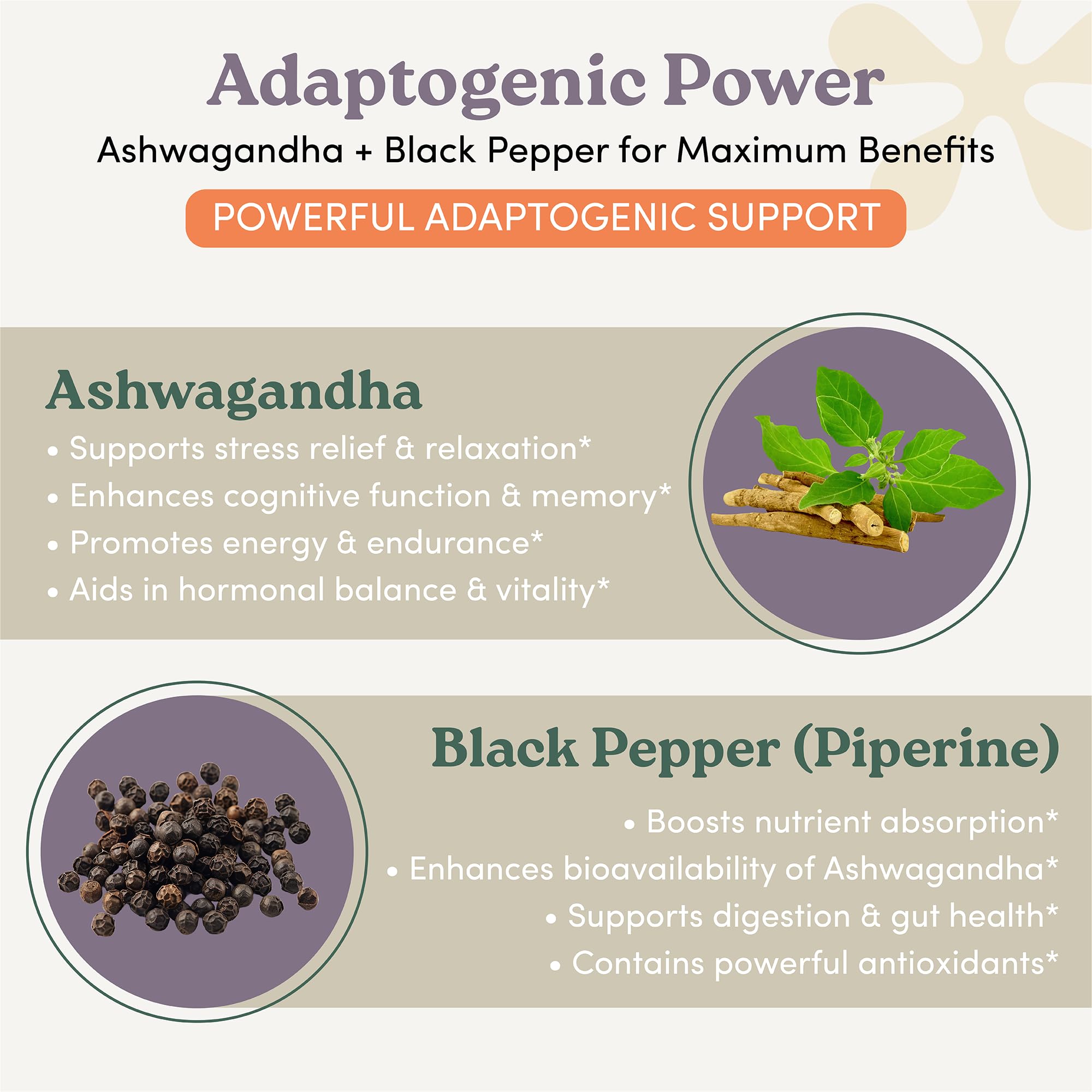 nootrimind Ashwagandha Supplement bottle side view
