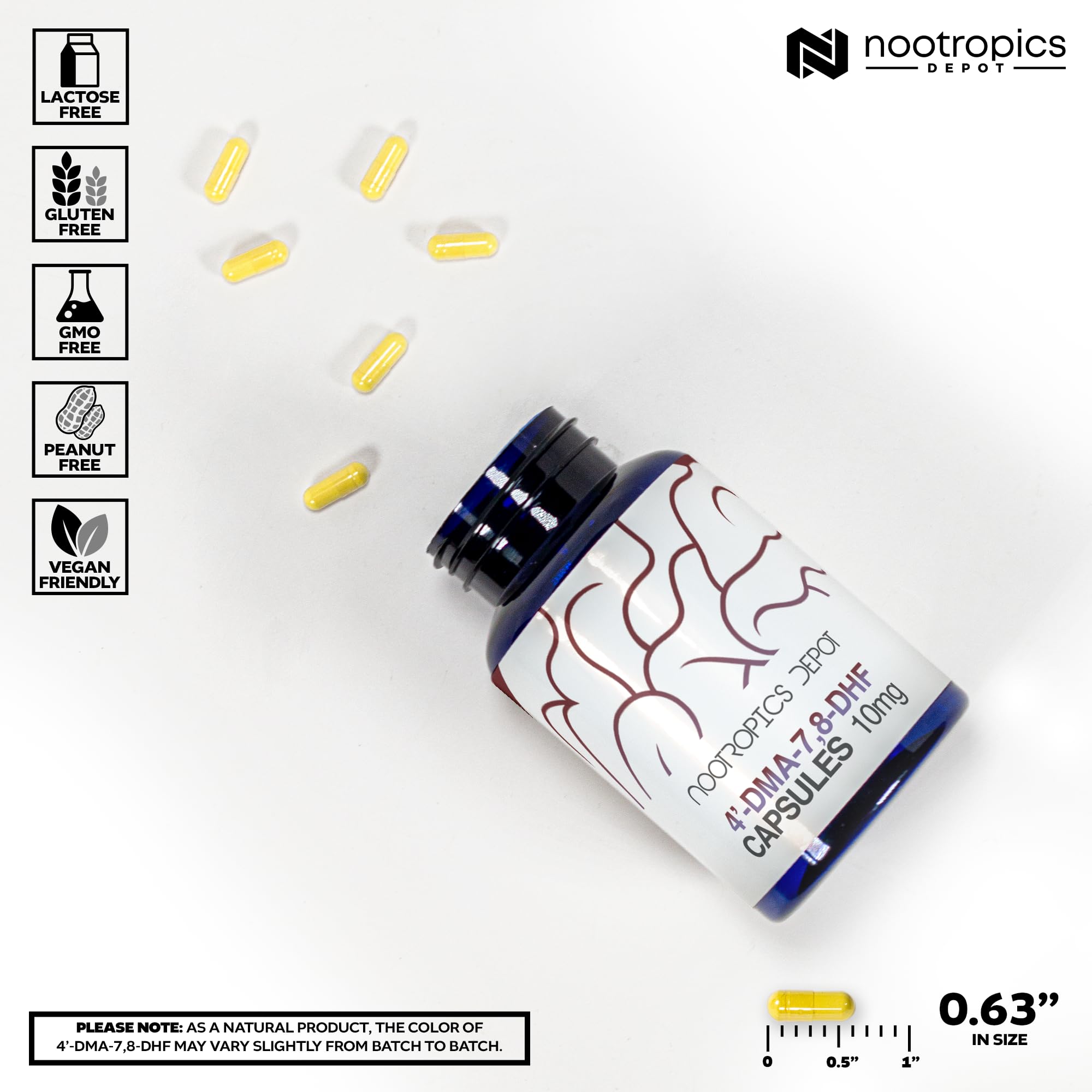 Nootropics Depot 4’-DMA-7,8-DHF Capsules 10mg bottle with label