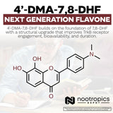 Nootropics Depot 4’-DMA-7,8-DHF Capsules 10mg packaging