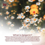 Nootropics Depot Apigenin 30g supplement side view