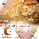 Nootropics Depot Apigenin supplement capsules on a table