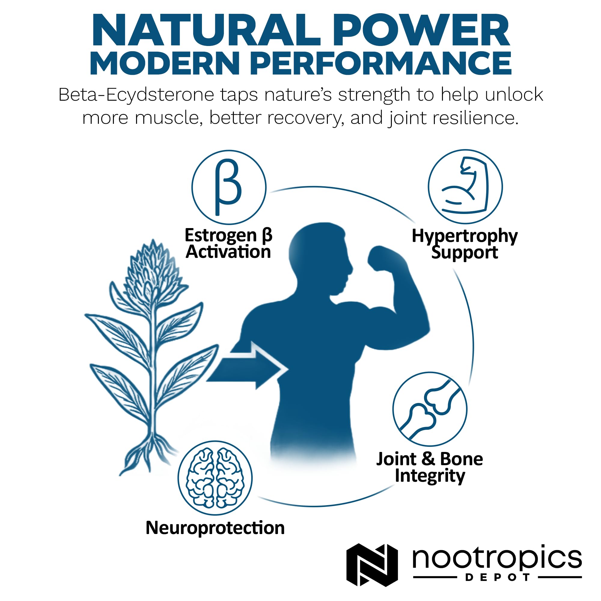 Nootropics Depot Beta-Ecdysterone 50% Extract in a lifestyle setting