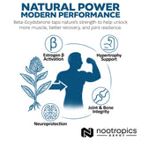 Nootropics Depot Beta-Ecdysterone 50% Extract in a lifestyle setting