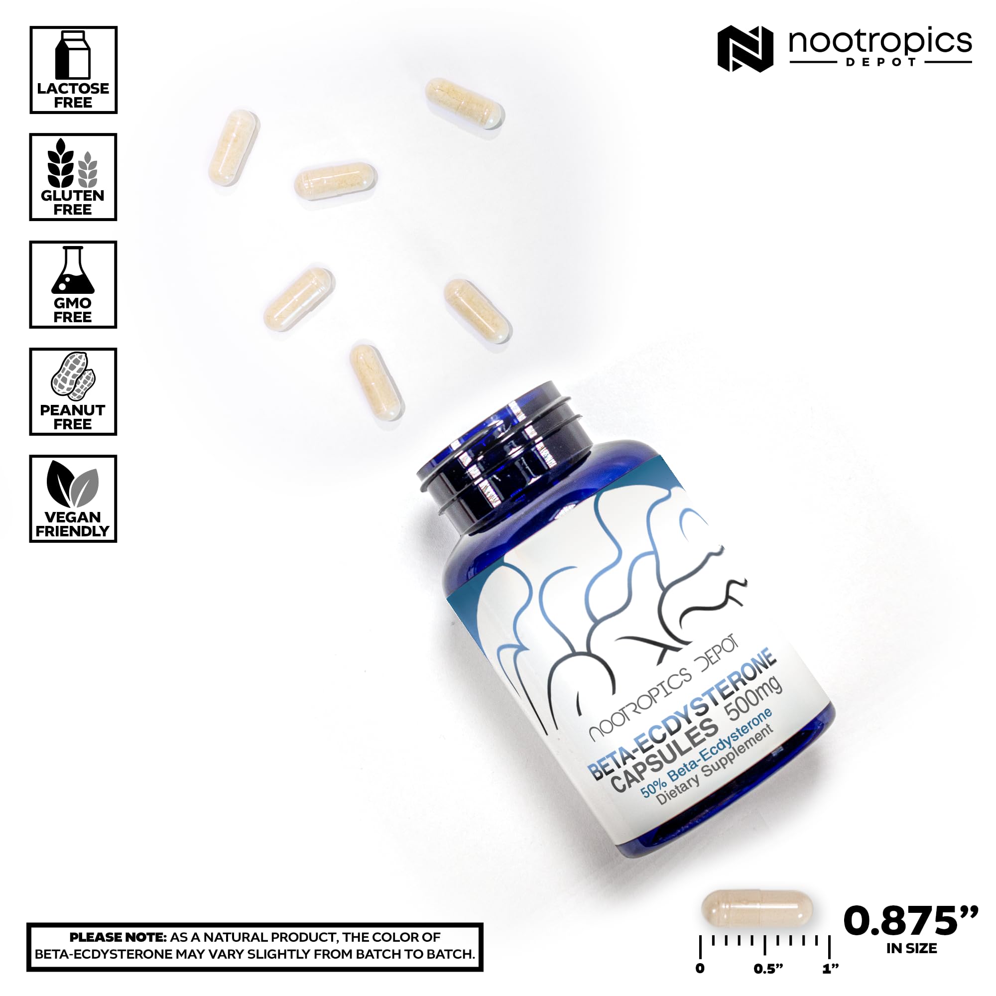 Nootropics Depot Beta-Ecdysterone 50% Extract label