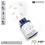Nootropics Depot Beta-Ecdysterone 50% Extract label