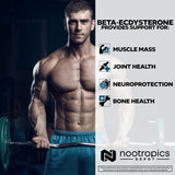 Nootropics Depot Beta-Ecdysterone 50% Extract with measuring spoon