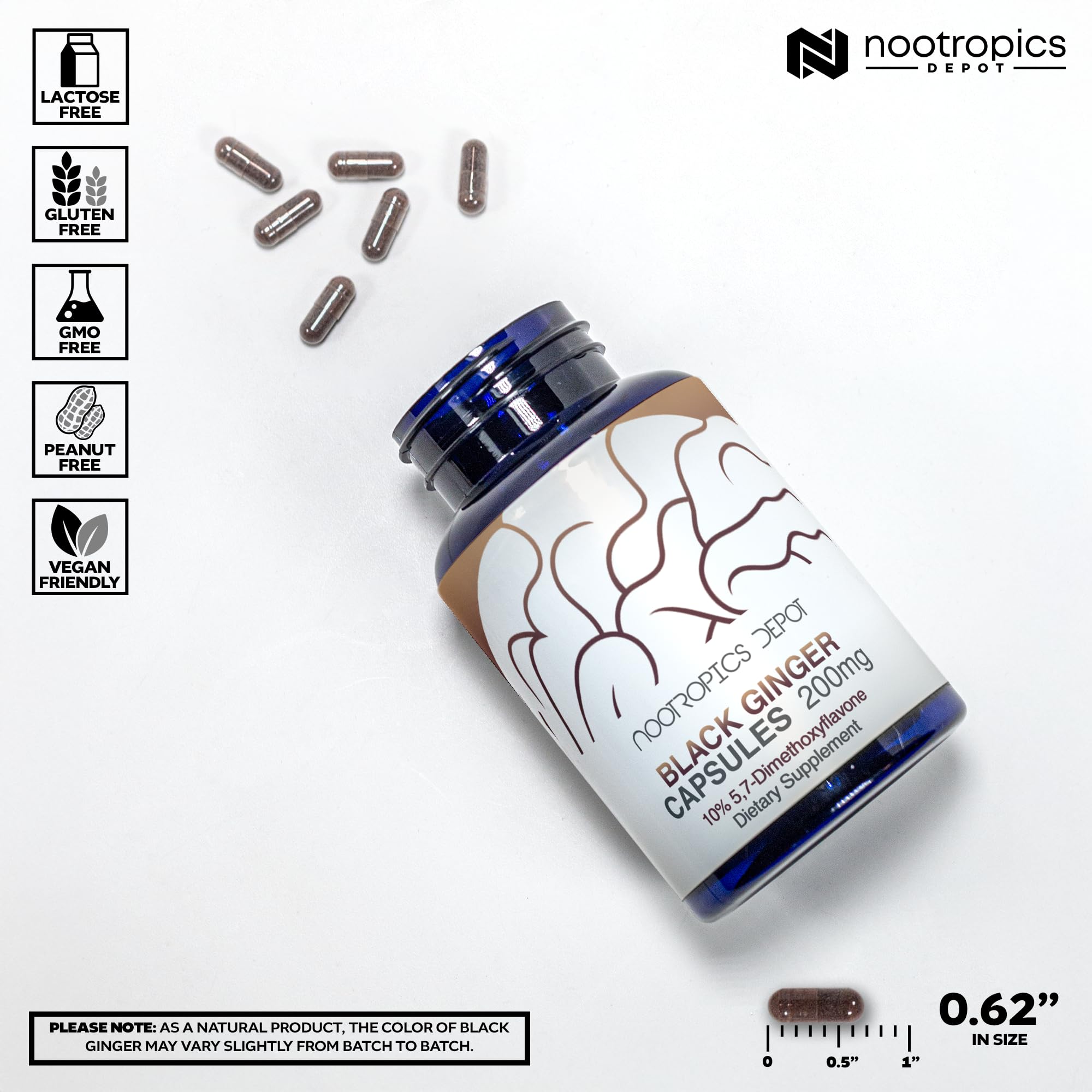 Nootropics Depot Black Ginger Extract Capsules bottle with label