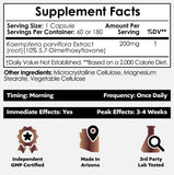 Nootropics Depot Black Ginger Extract Capsules side view