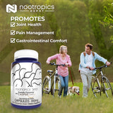 Nootropics Depot Casperome Boswellia Phytosome 50g supplement back view with ingredients