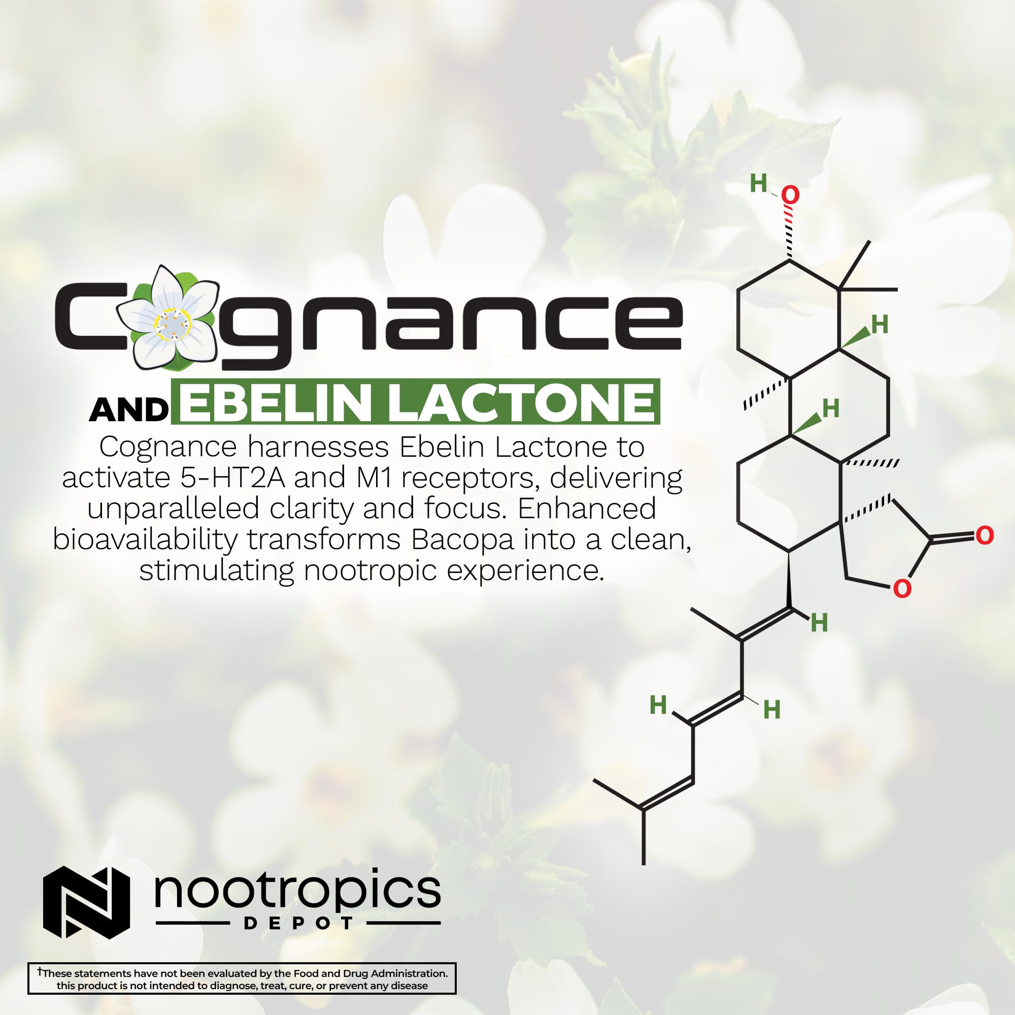 Nootropics Depot Cognance Bacopa Monnieri Extract ingredients list