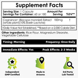 Nootropics Depot Cognance Bacopa Monnieri Extract side view
