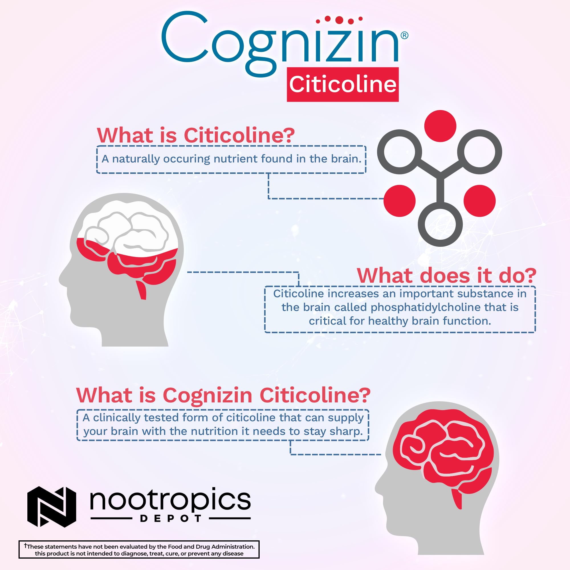 Nootropics Depot Cognizin Citicoline 141g packaging