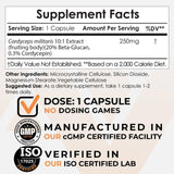 Nootropics Depot Cordyceps Mushroom Capsules 250mg back view