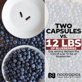 Nootropics Depot Cyanidin 3-Glucoside supplement capsules