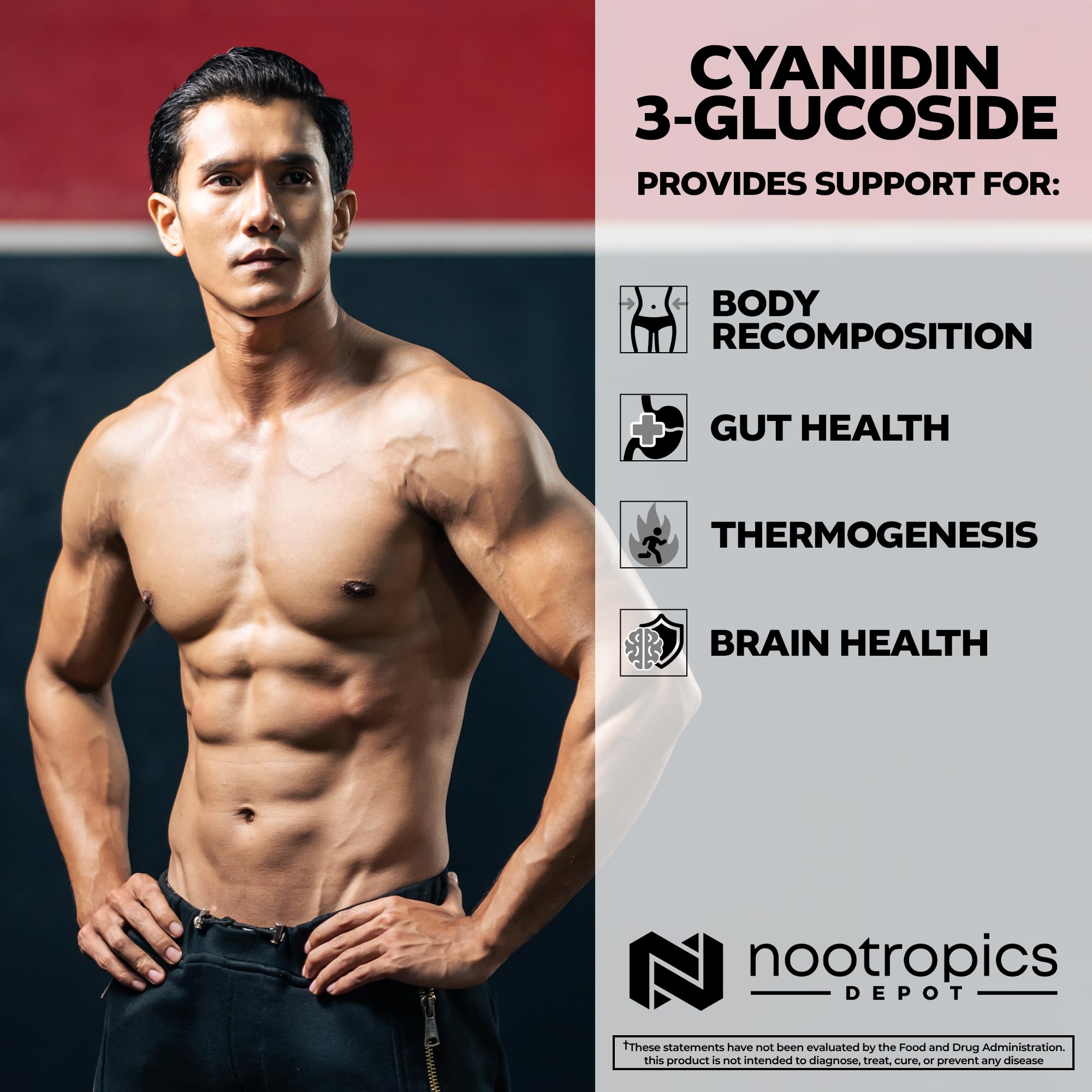 Nootropics Depot Cyanidin 3-Glucoside supplement with packaging