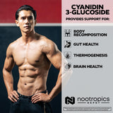 Nootropics Depot Cyanidin 3-Glucoside supplement with packaging
