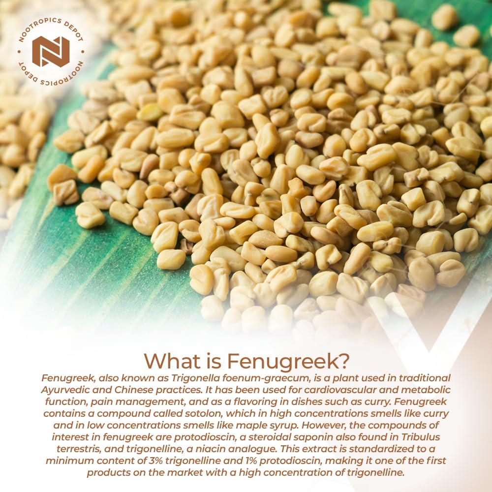Nootropics Depot Fenugreek Extract 500mg capsules close-up